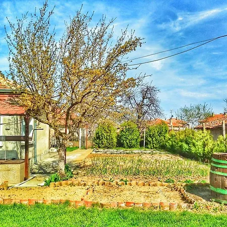 Dimi Къща за гости Бяла