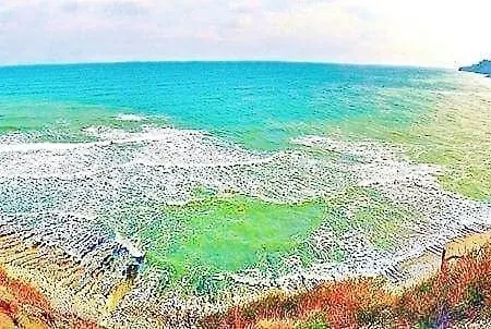 Къща за гости Dimi Бяла